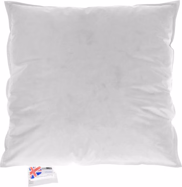 Homescapes White Goose Down and Feather Cushion Pad Insert, W/D/H: 55 x 55 x 55 cm