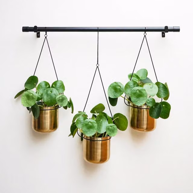 Ivyline Linear Rectangular Hanging Metal Planters in Black and Gold
