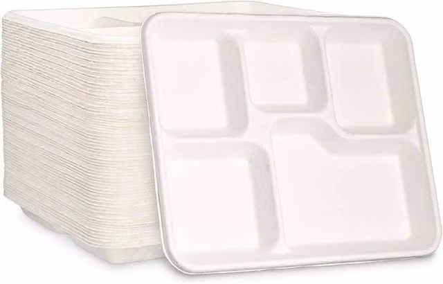 ECONX 100 Pack Heavy Duty Disposable 5 Compartment Bagasse Serving Plates in White
