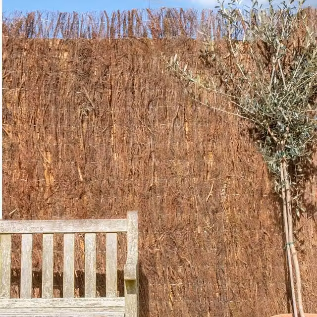 Primrose Brushwood Heather Thatch Natural Woven Screening Roll, Brown, W: 300 cm, H: 100 cm