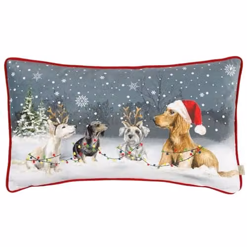 Evans Lichfield Christmas Dog Velvet Piped Rectangular Cushion, Multicolour, W: 50 cm, H: 30 cm