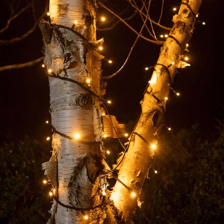 Lights4fun Pro Connect 190m Connectable LED String Lights with 1900 Warm White Bulbs and Black Cable