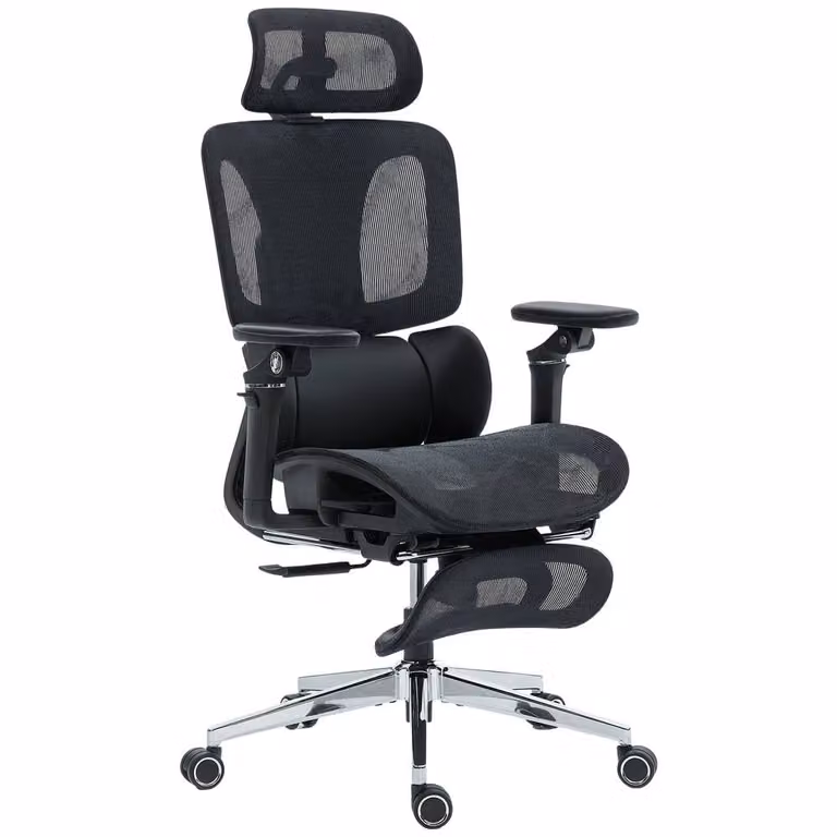 Rolipo Ergonomic High Back Mesh Office Chair in Black with Headrest and Armrests
