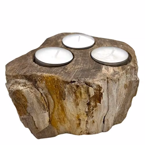 Ancient Wisdom Petrified Wood Tealight Candle Holder in Brown