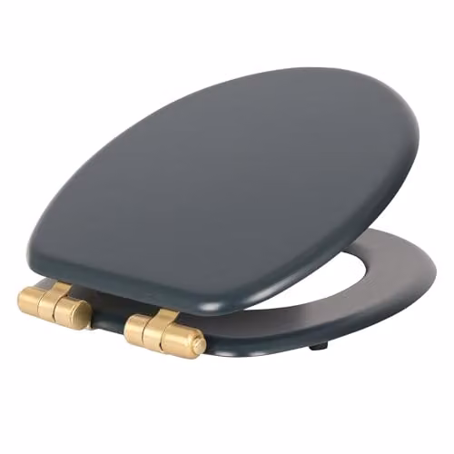 Harbour Housewares Soft Close Oval Wooden Toilet Seat in Blue and Gold