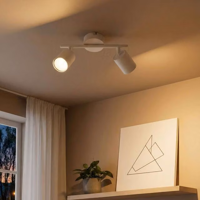 Wyld and Coco 2-Light Adjustable Spotlight Ceiling Lamp in White Metal