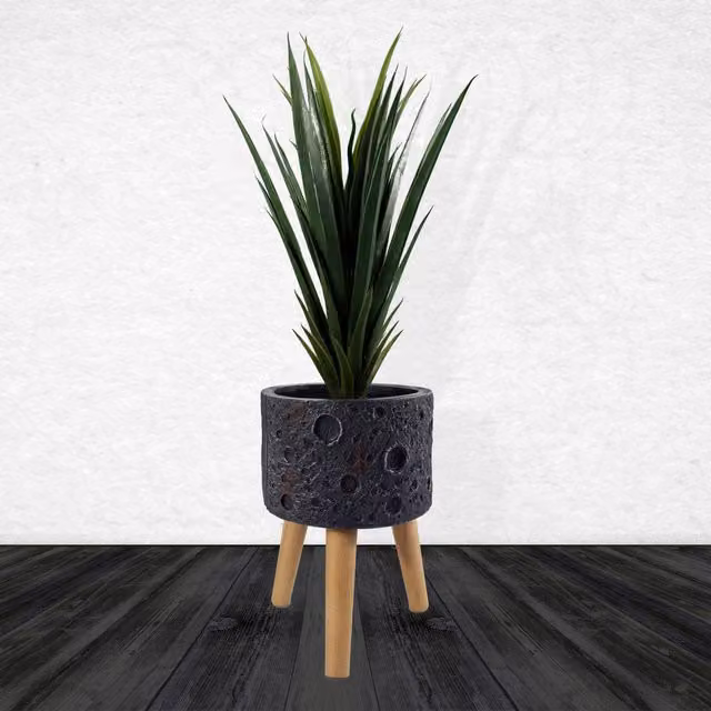 Leaf Moon Black Round Tabletop Planter with Stand, Black