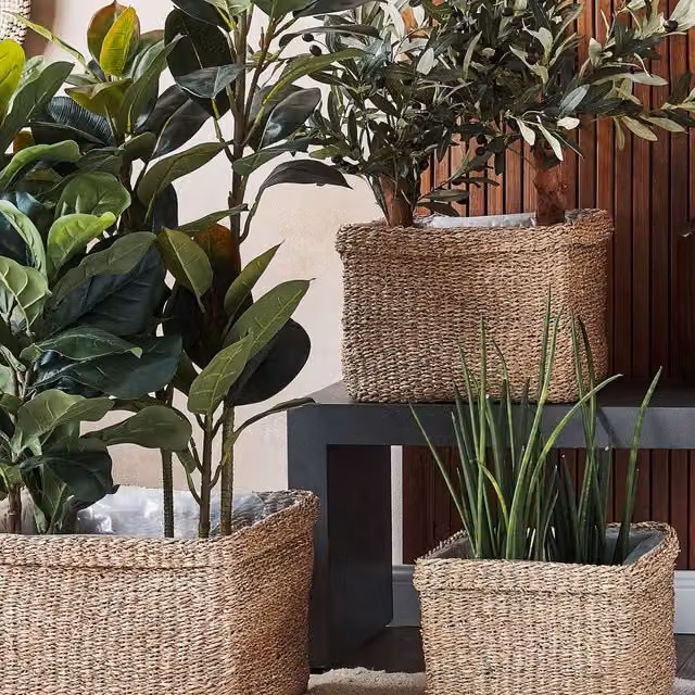 Wyld and Coco Natural Seagrass Planter Set of 3 in Brown