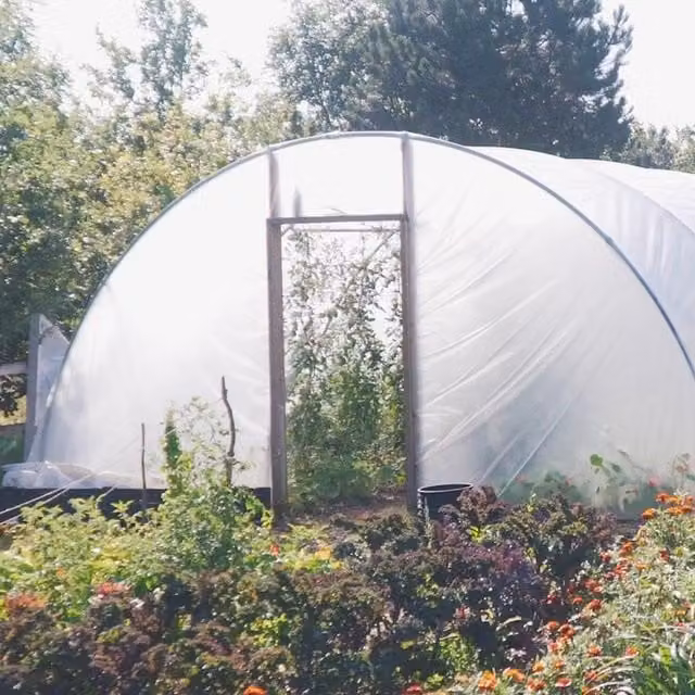Direct Polytunnels 60ft Heavy Duty Professional Polytunnel Kit with Galvanised Steel Frame and Transparent Plastic Cover
