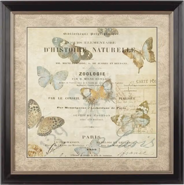 Orsina Framed Butterfly 2 Wall Art in Brown and Blue Antique Style
