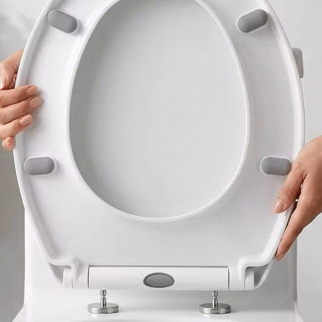 Flavora Oval Soft Closing Toilet Seat in White