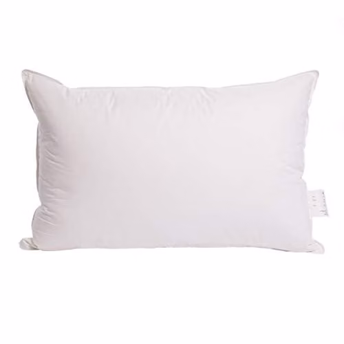 Surrey Down Home White Goose Feather and Down Soft Pillows, 2 Pack
