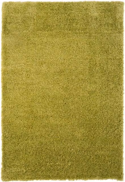 The Rug House Soft Shaggy Rectangular Rug in Green, W: 170 cm, D: 120 cm