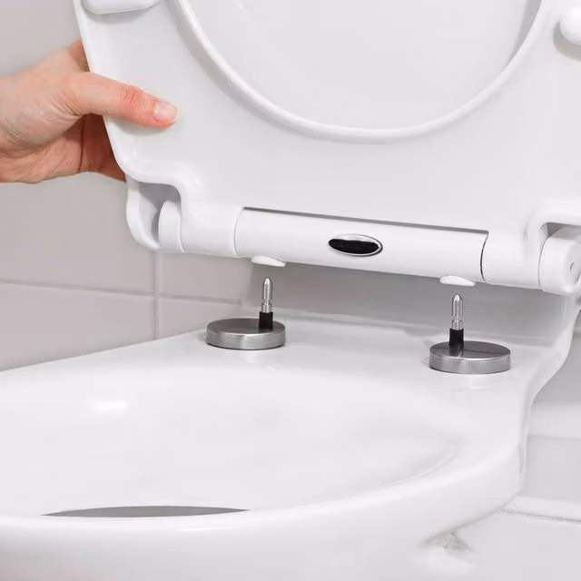 Tanness Oval Soft Close Toilet Seat with Quick Release in White