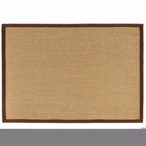 Phoenox Textiles Limited Origins Woven Sisal Rug in Beige and Brown with Dark Brown Border, W: 120 cm, L: 170 cm