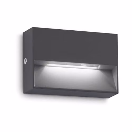 Netlighting Dedra Rectangular LED Outdoor Flush Wall Lamp in Anthracite Black, 160Lm, 3000K, IP65