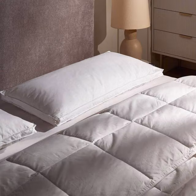 Wyld and Coco 2 Pack White Duck Down and Feather Pillows, W/D/H: 40 x 80 cm