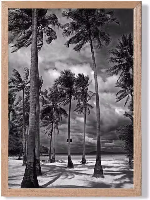 ARTZE Stormy Palm Trees Black and White Photo Framed Print with Oak Frame, A4