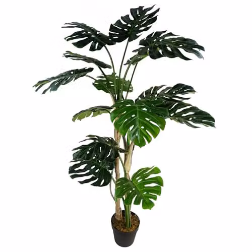 Botanik Premium Artificial Monstera Plant in Green and Black, Potted, H 150 cm x W 70 cm x D 70 cm