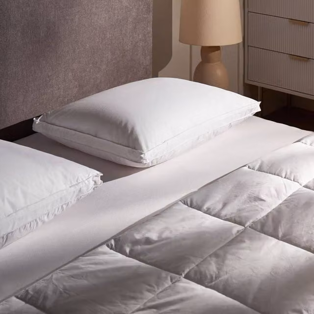 Wyld Haus Set of 2 White Firm Down and Feather Pillows, W/D/H: 40 x 60 cm