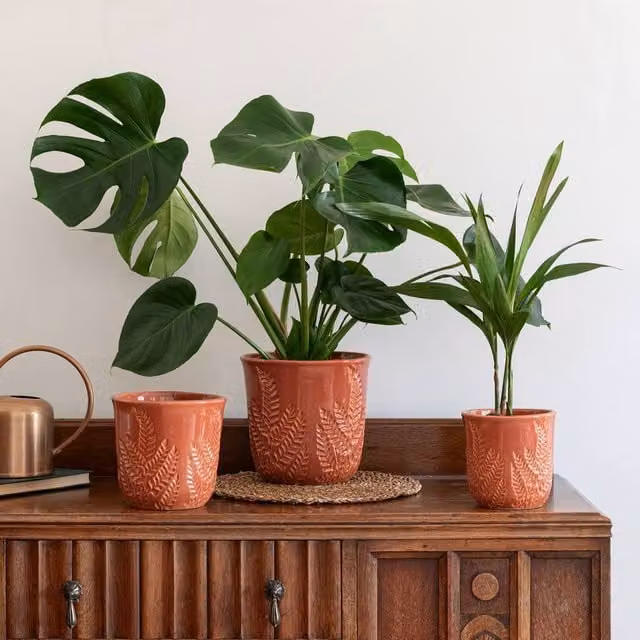 Ivyline Kew Embossed Fern Ceramic Planter in Orange, H17 x D18 cm