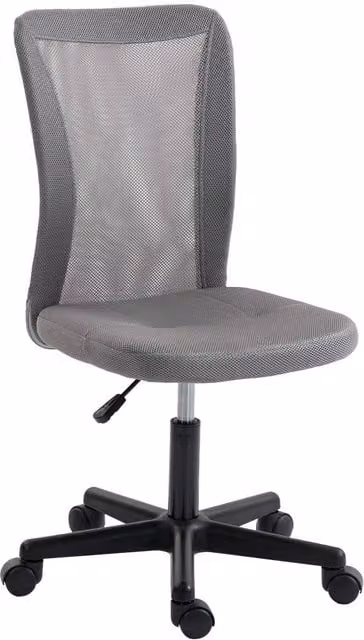 Rolipo Grey Armless Mesh Swivel Office Chair with Adjustable Height