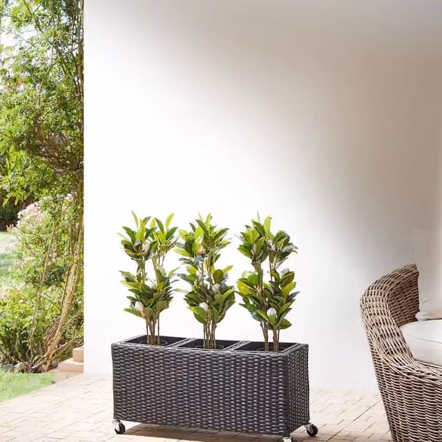 Wyld and Coco Black PE Rattan Wheeled Plant Pot with 3 Removable Inserts