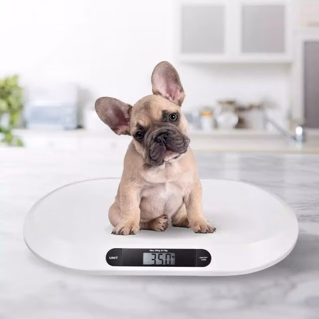 Marco Paul Electronic Baby Weighing Scales with Digital Display in White