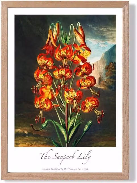 ARTZE Vintage Floral Lily Flower Framed Botanical Illustration Print in Red Oak Wood Frame