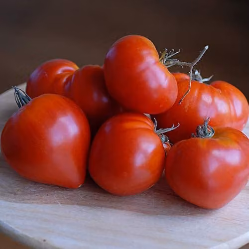 Thompson and Morgan Tomato Gourmandia F1 Hybrid Vegetable Seeds, 4 Seeds