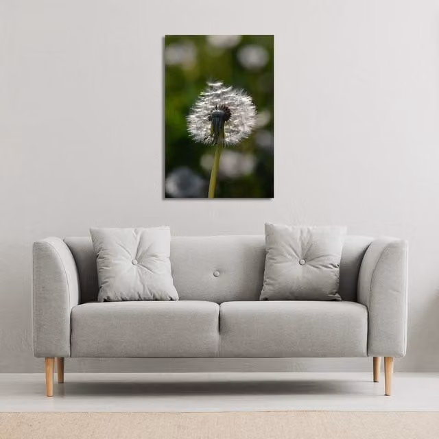 Benjamin Tate Design LTD Fluffy Flower Botanical Canvas Print, Green and Multicolour, W: 101 cm, H: 152 cm