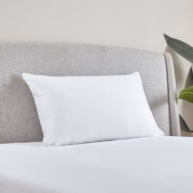 Catherine Lansfield Luxury Multi Relax Cotton Pillow, White, W: 48 cm x H: 74 cm