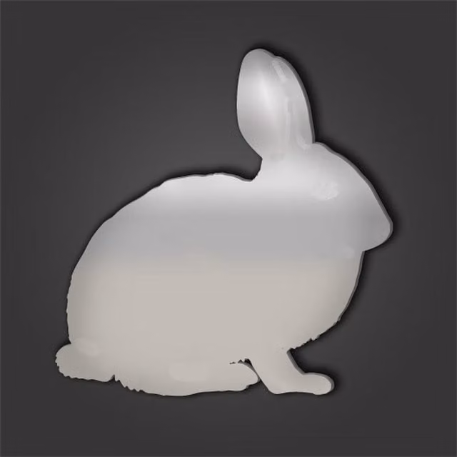 Rabbit Style 5 Silver Acrylic Mirror, 50 cm