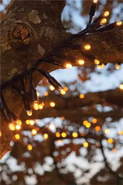 Xmas Haus LED Christmas Cluster Lights in Black with Copper and Gold/Brass Rubber Finish, IP65, 10m