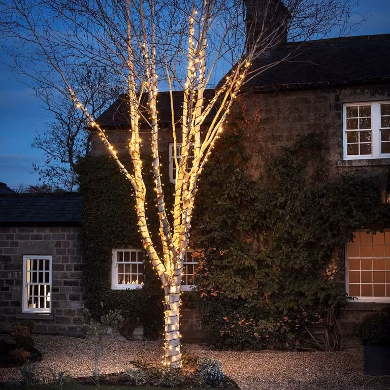 Pro Connect 1650 Warm White LED Connectable String Lights with Black Cable