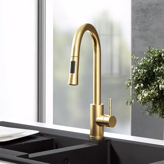 Nes Home Brushed Brass Modern Pull Out Kitchen Mixer Tap in Gold