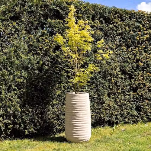 Primrose Tall Round Ribbed Terracotta Planter in Beige, Height: 59 cm