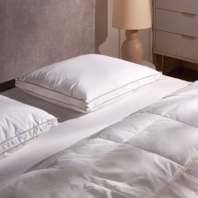 Wyld Haus White Duck Down and Feather Side Pillow, W/D/H: 40 x 60 cm