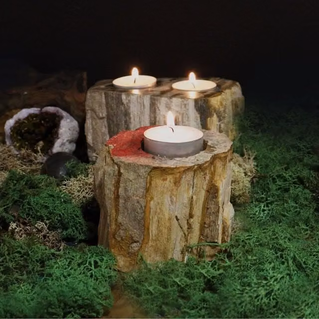 KDMK Petrified Wood Single Tall Tealight Candle Holder, Brown Stone Minimalist Design