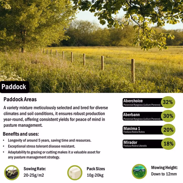 Pegdev Paddock Grass Seed, Resilient and High Yielding Lawn Seed, 5kg