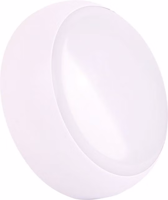 Fern Howard White LED Wall Light with Opal Diffuser