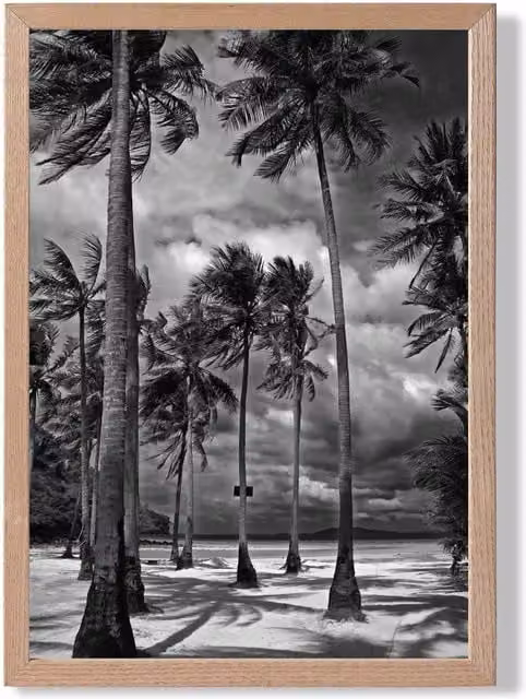 ARTZE Stormy Palm Trees Black and White Framed Photo Print with Oak Frame, A4
