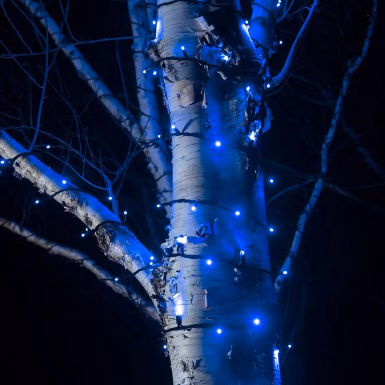 Pro Connect Blue Connectable LED String Lights with Black Cable, Warm White, 900m