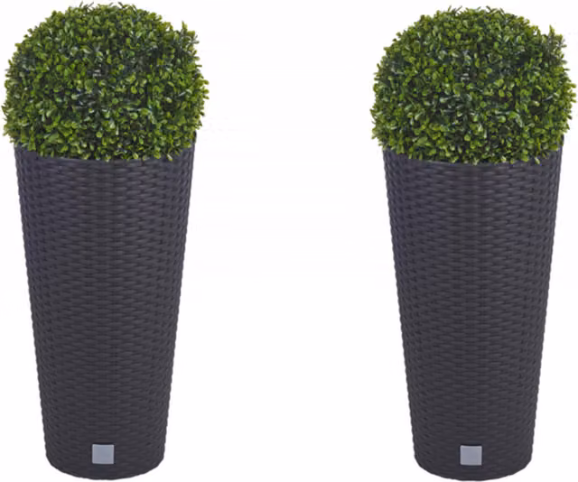 URBNLIVING Modern Round Tabletop Garden Planters in Brown, Grey or Black, W/D/H: 25 x 25 x 28 cm