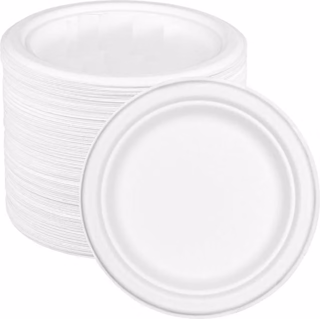 ECONX White Disposable Sugarcane Bagasse Round Dinner Plates, Diameter: 25 cm, Pack of 200