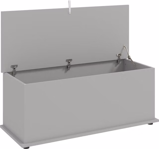 HOMCOM 113L Grey Storage Chest with Flip-Top Lid, W: 100 cm, D: 40 cm, H: 40 cm