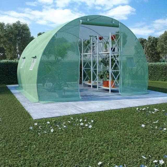 Berkfield Home Green Freestanding Greenhouse with Curved Design, W/D/H: 300 x 300 x 200 cm