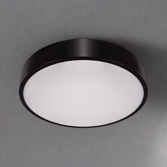 CGC Luna Black Round LED Surface Mount Ceiling and Wall Light, 48W