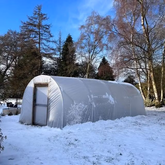 Direct Polytunnels Heavy Duty Professional Straight Sided Polytunnel Kit with Transparent Polythene and Galvanised Steel Frame