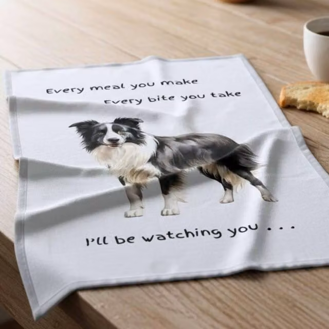 Animal Crackers Border Collie Funny Dog Tea Towel, White and Grey Cotton, 66 cm